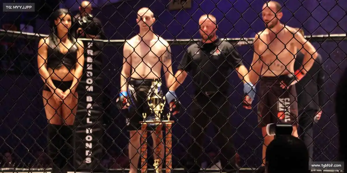 行业领先的理由